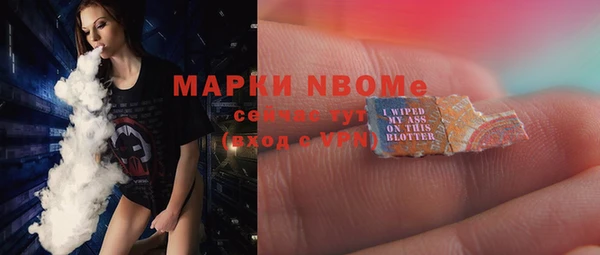 шишки Дмитриев